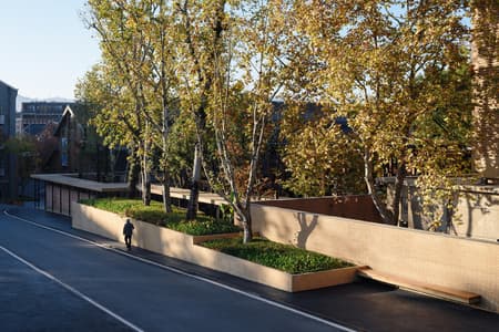 Jingyang Camphor Court